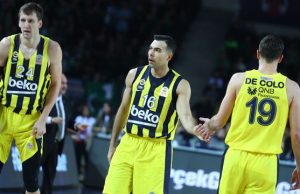 decolo-vesely-1